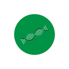 DNA chain round icon vector