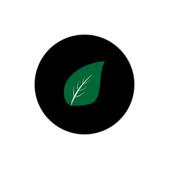 Tree leaf round icon vector