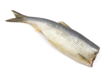 śledź © robert6666