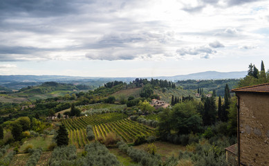 Fototapeta na wymiar Tuscan fields