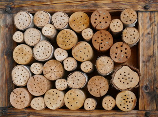 Unterschlupf für Insekten, gegen das Insektensterben