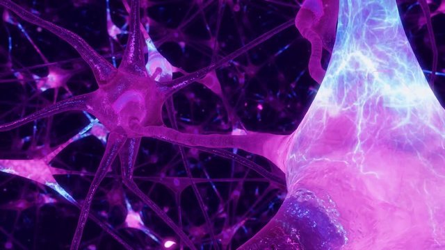 Neuronal and Synapse Activity animation. Electrical impulses inside the human brain.