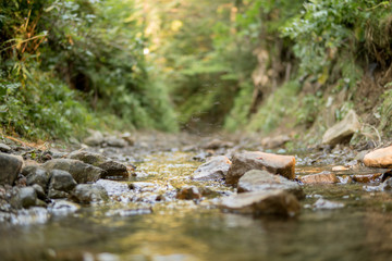 small stream in mountains