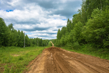 Broken forest dirt road.