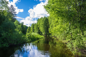 Obraz premium Beautiful water summer landscape.