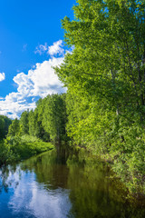 Beautiful water summer landscape.