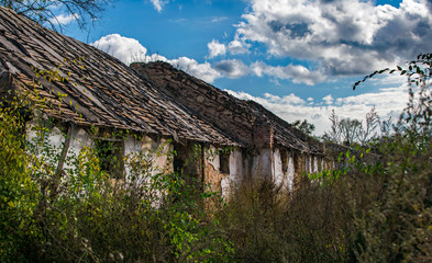 Abandoned deserted huts overgrown with grass and trees