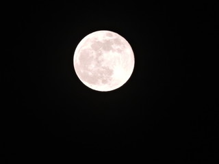 Luna
