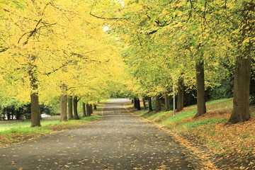 Obraz premium Schlosspark Rauischholzhausen