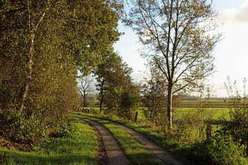 Fototapeta premium Wirtschaftsweg in der Marsch