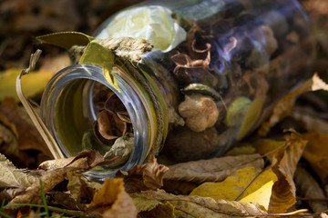 Dried flowers in a jar, composition on the ground in the park