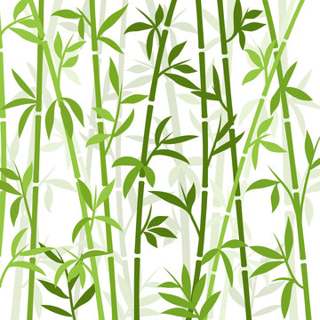 Bamboo background japanese asian plant wallpaper grass. Bamboo tree vector pattern