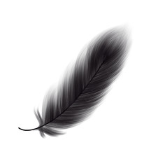 Hand drawn colorful black feather on white background, isolated cartoon illustration painted by pencil and watercolor, high quality
