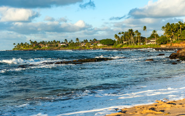 Waianapanapa State Park on Maui island of Hawaii is featuring black lava sand, tidal caves & native plants