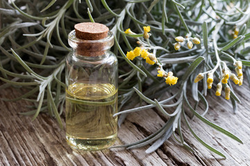 A bottle of helichrysum essential oil with blooming helichrysum
