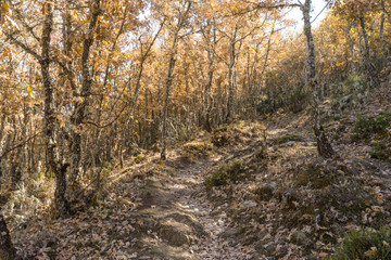 La Hiruela de Madrid 26