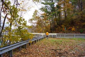 Checking the scenery