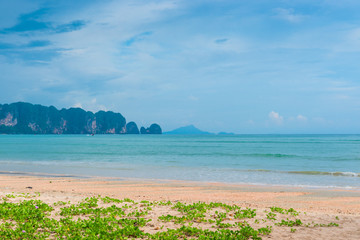 beach with beautiful flowers and a beautiful view of the mountain, Thailand, Krabi province