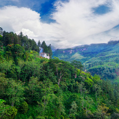 Fototapeta na wymiar Mountain overgrown tropical forest in Sri Lanka.