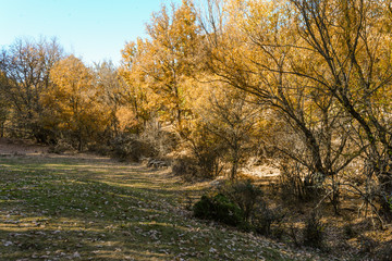 Fototapeta premium La Hiruela de Madrid 07