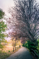 bad weather, autumn landscape