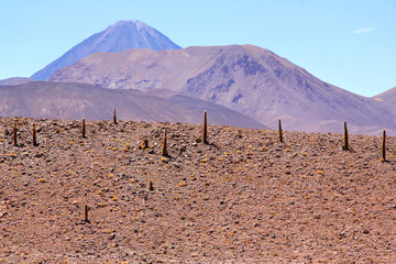 Fototapeta na wymiar Atacama desert