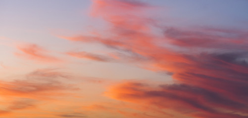 The panorama of  tiny or tender  sky texture or background