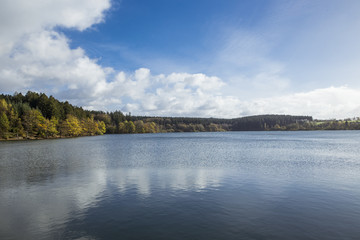 See im Wald