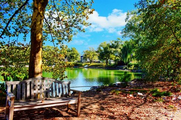 Park Bench Overlooking A Autumn Scenic View Of A Lake