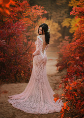 Fototapeta premium A happy bride in a beautiful, powdery dress. Wedding walk in the fairy, autumn forest