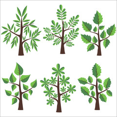 Vector  tree Clip Art. Graphic Trees collection. 