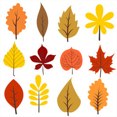 Autumns leaves collection. Vector illustration. Autumn leaf Clip Art.