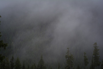 Crystal Mountain Ski Resort Spring Washington Fog