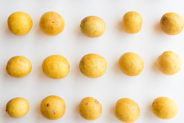 High angle view of homegrown lemonade fruit arranged in rows on white table