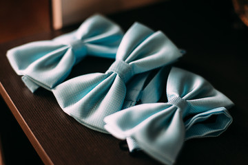 Fototapeta premium Wedding day: blue butterfly for groomsmen