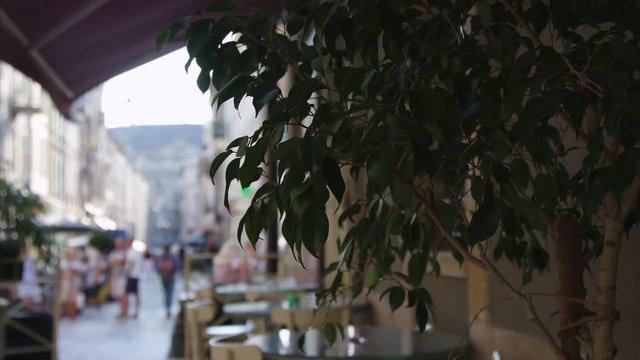 Street scene from Trastevere district of Lviv 2017 blackmagic ursa mini 4,6k