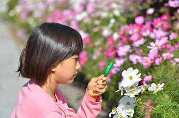 花を虫眼鏡で観察する女の子