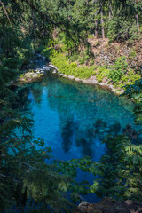 Oregon's Blue Pool Through Trees