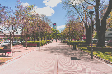 Puerto madero plaza