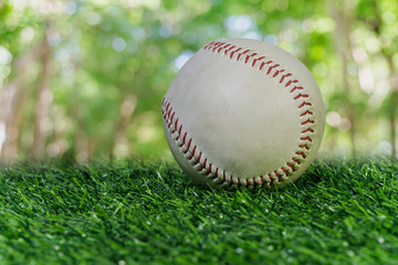 Close up baseball on the green lawn