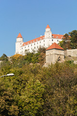 Fototapeta na wymiar Slovak Castle