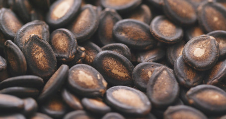 Black Melon Seeds