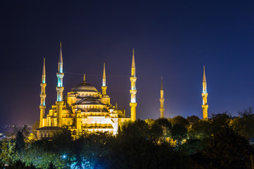 Fototapeta na wymiar Blue mosque (Sultan Ahmet) in Istanbul