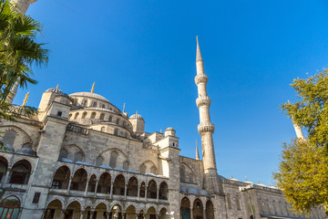 Obraz premium Blue mosque in Istanbul