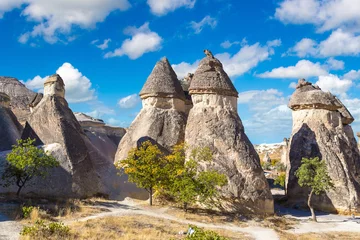 Gordijnen Cappadocië, Turkije © Sergii Figurnyi