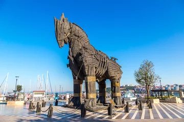 Zelfklevend Fotobehang Trojan horse © Sergii Figurnyi