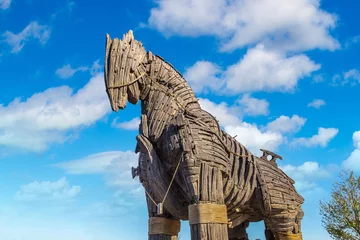 Poster Trojan horse © Sergii Figurnyi
