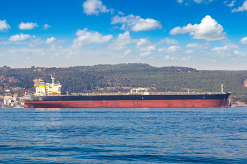 Fototapeta premium Container ship in Dardanelles strait, Turkey