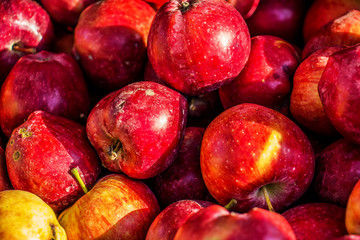 Apples