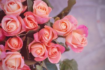 Bunch of pink peach roses bouquet with copy space.